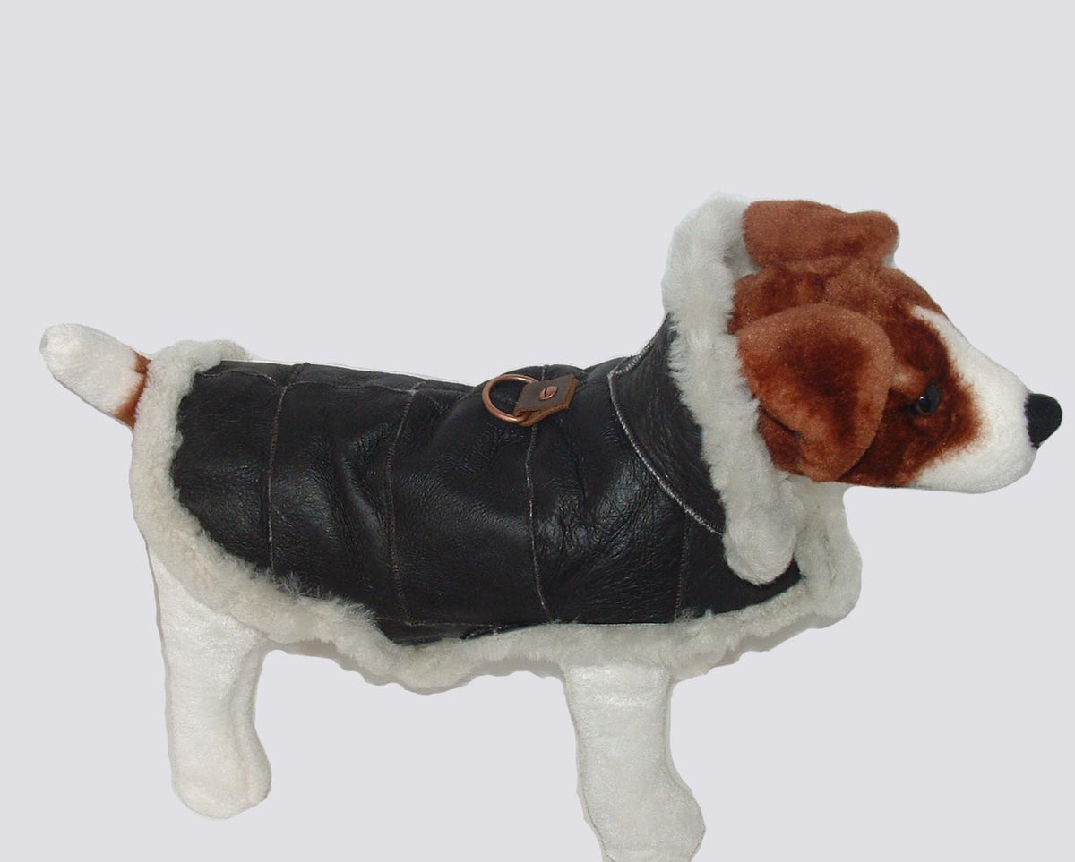 sheepskin dog jacket