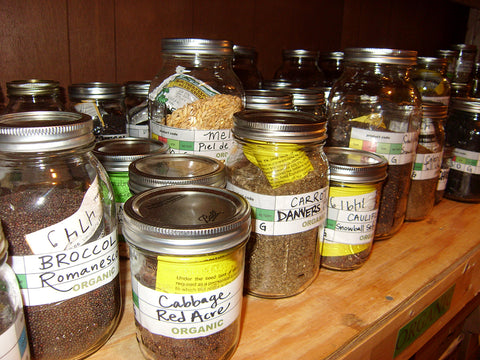 Sow True Seed cold room mason jar storage