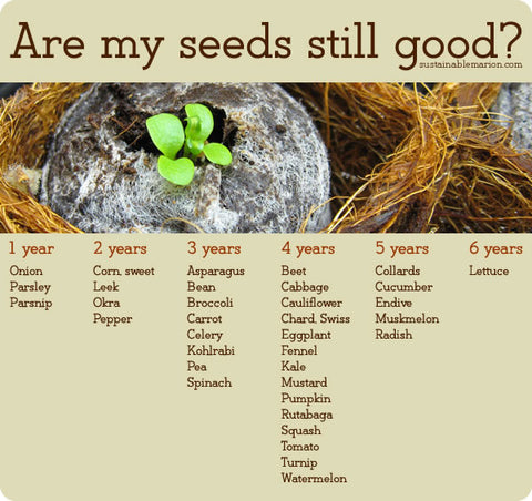 Seed Viability chart- Are my seeds still good ?