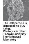 RBCC particle magnified 300X