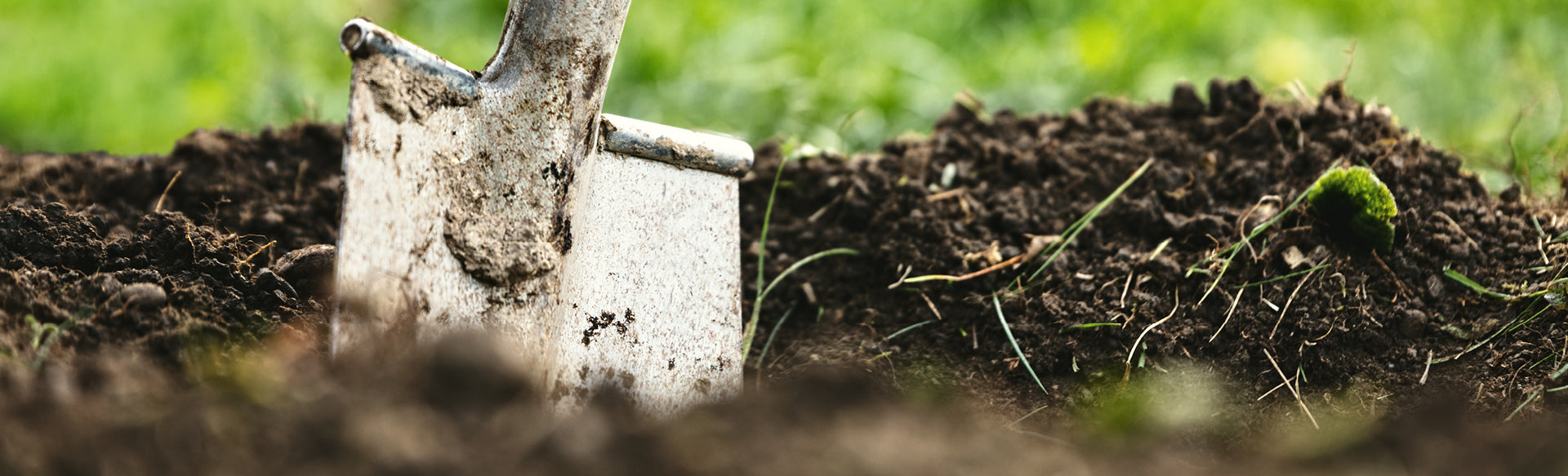 a shovel in the dirt