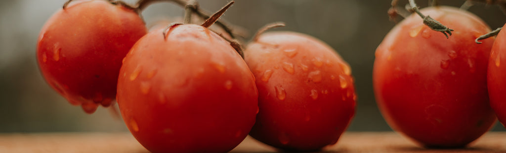 a healthy red tomatoes with water drops