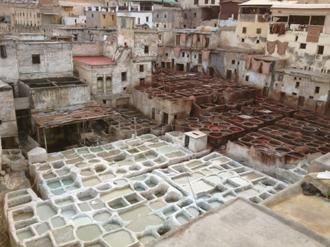 The Tannery - Fes (Morocco motorbike tour)