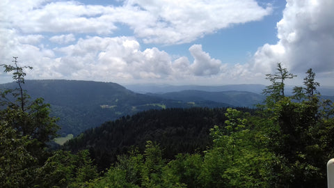 A view from the B500 - Black Forest Motorbike Tour