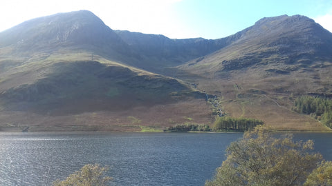 View of Buttermere