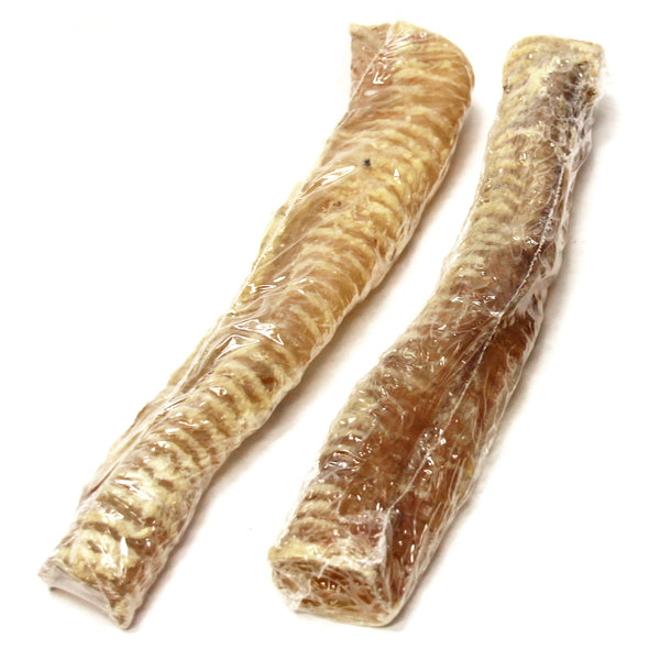 12" Trachea