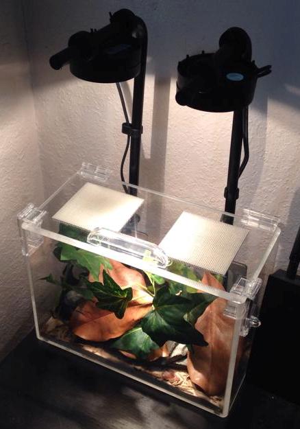 small custom vivarium by biovivara