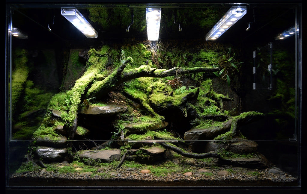 custom stream bed paludarium by biovivara