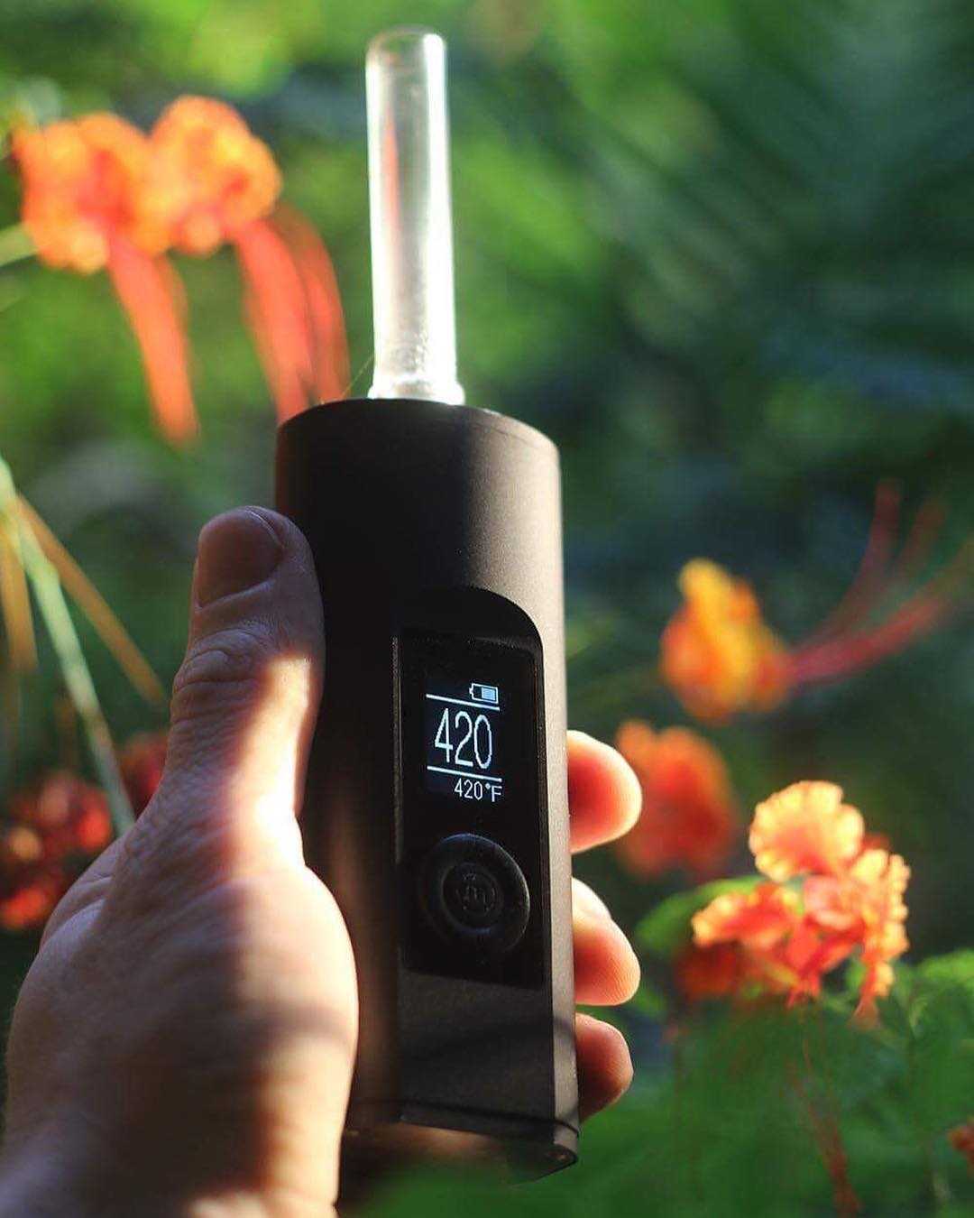 Arizer Solo 2 Vaporizer