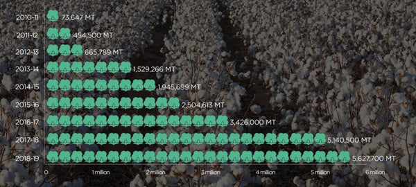 BCI cotton 2010-2019