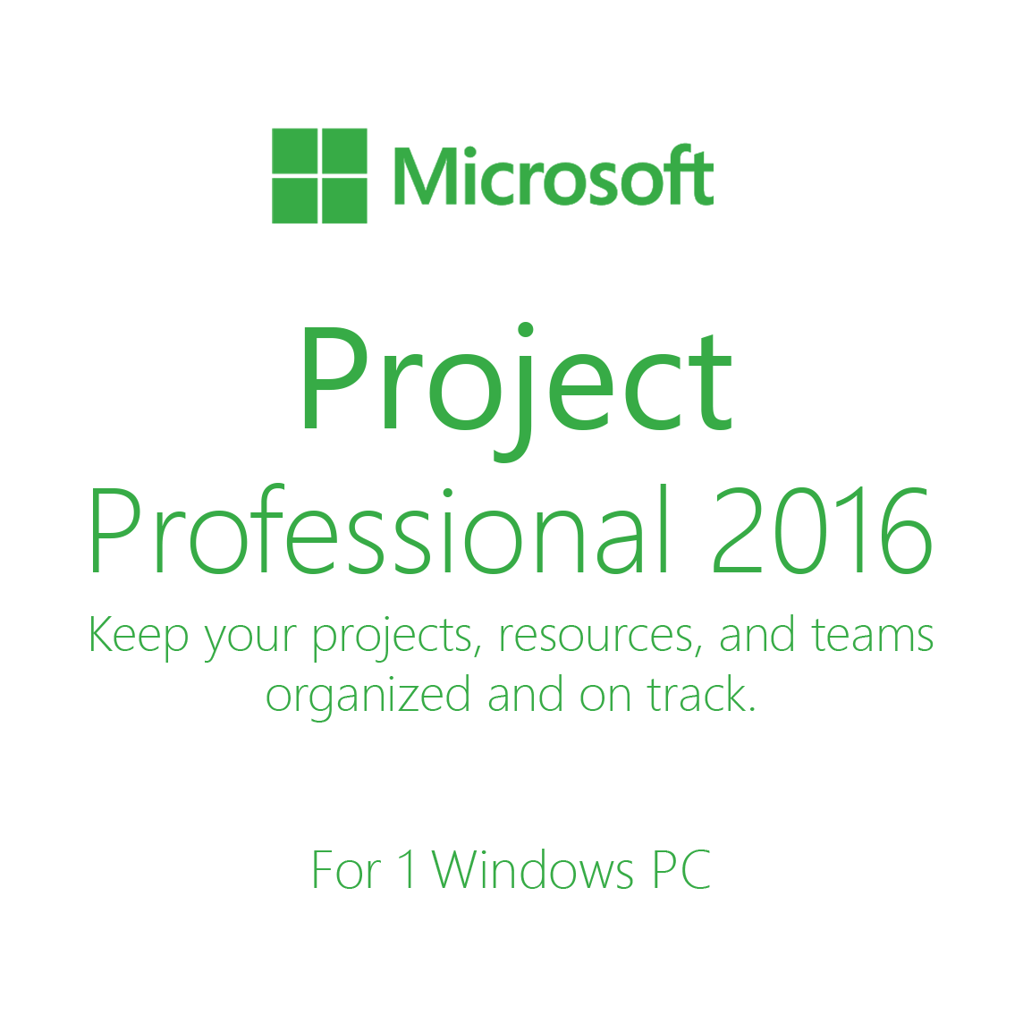 Microsoft Project Professional 16 Techwarecity