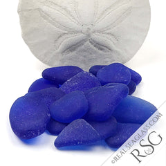 Cobalt Blue Sea Glass with Sand Dollar