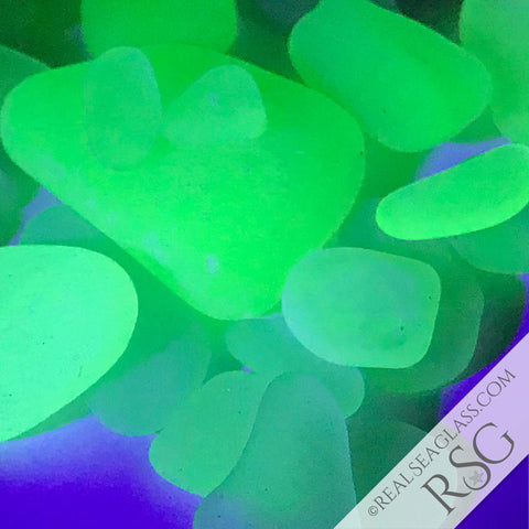 Rare UV Sea Glass Under Blacklight