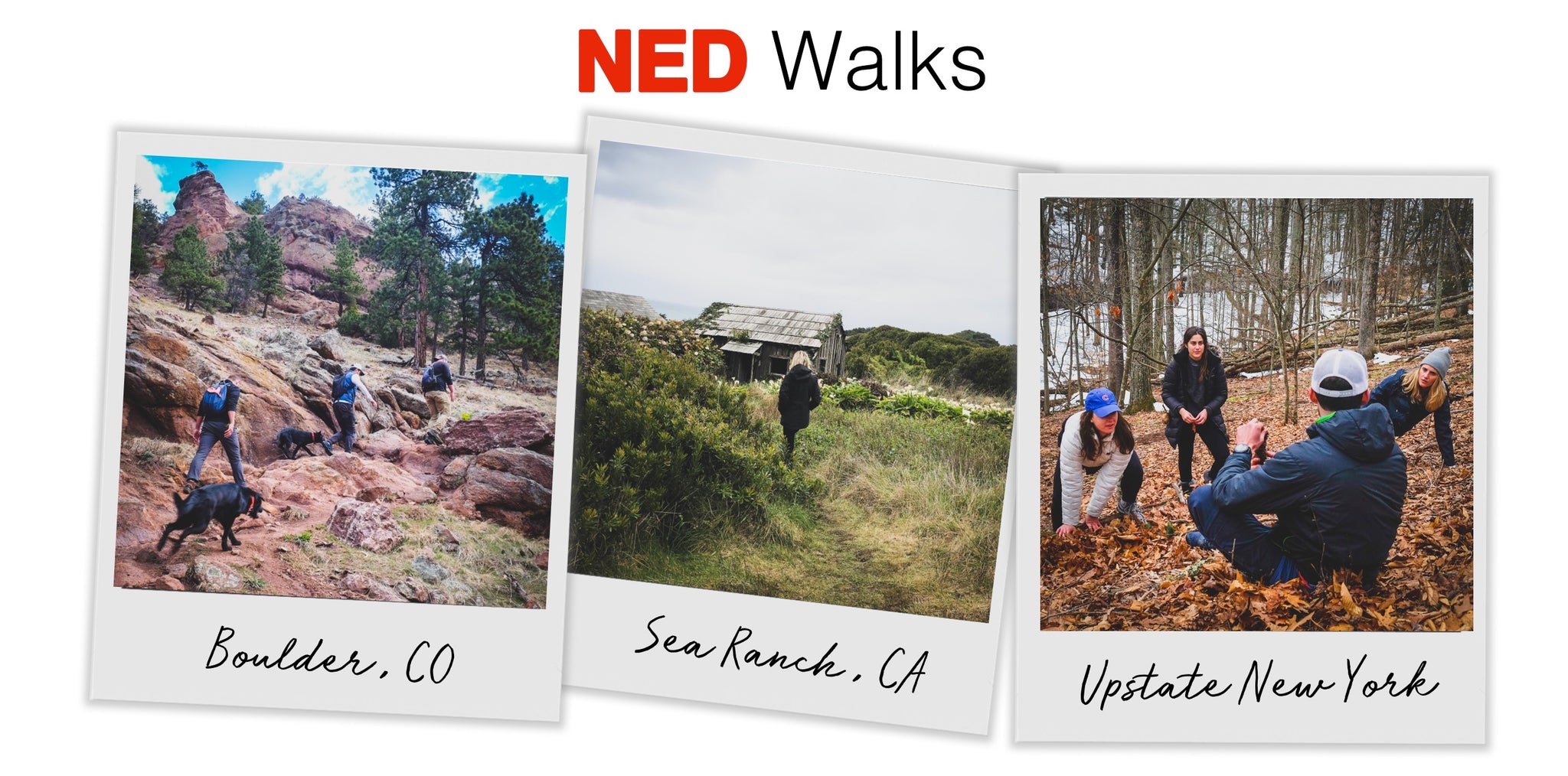 Ned_Walks