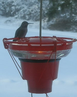 Heater For Hummingbird Feeders Wild Bird Chalet