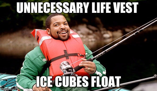 funny ice cube meme for science teachers - ice cubes float