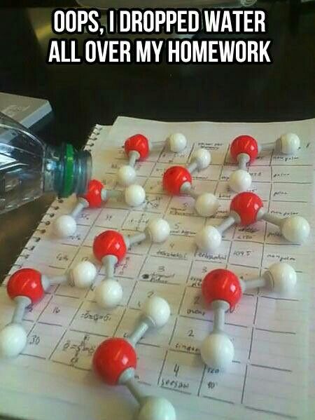 water molecules on homework cheesy joke