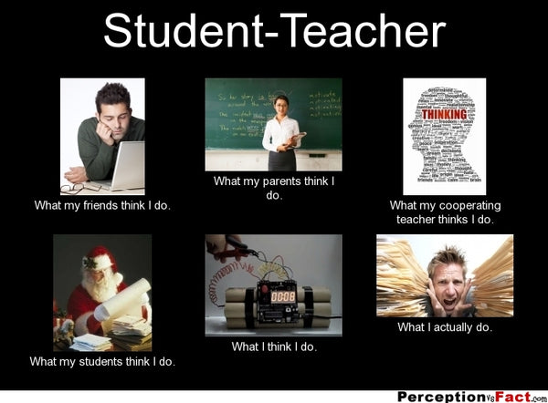 Student Teacher Meme - What You Really Do | Faculty Loungers Gifts for