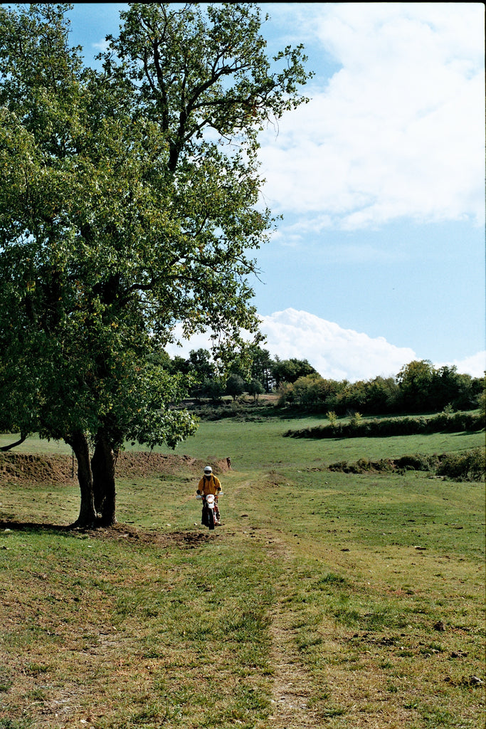 Petro Camp Cerdanya Trip Tree field