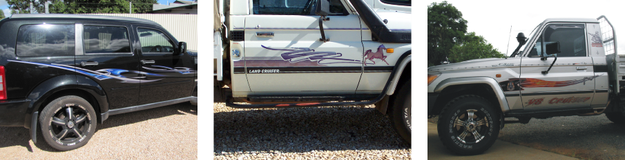 Allen's custom striping is made to suit all 4x4's and 4wd's.