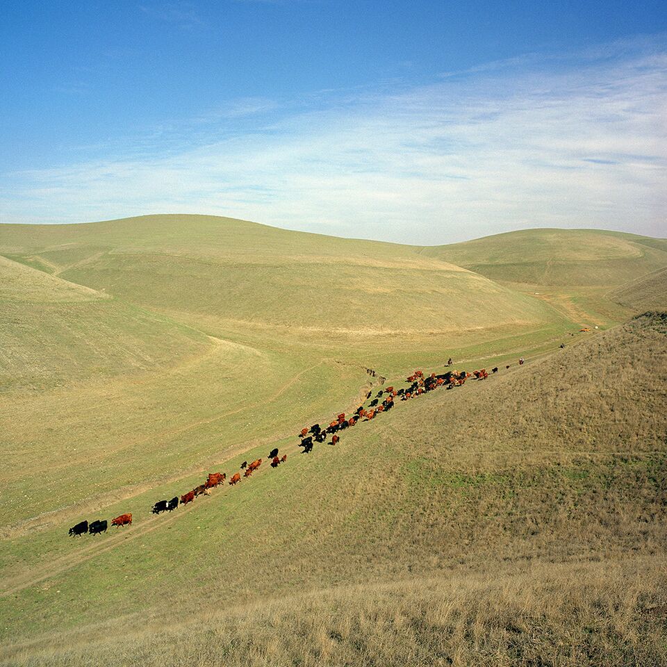 Orradre Ranch. This Land