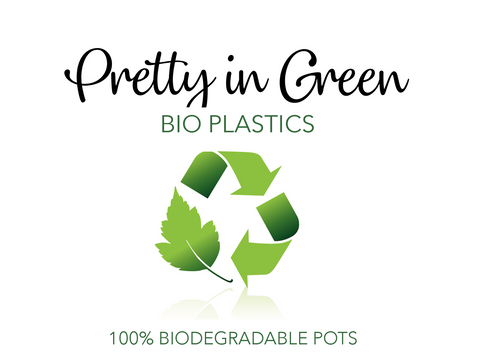 Pretty in Green Bioplastics Biodegradable Pots