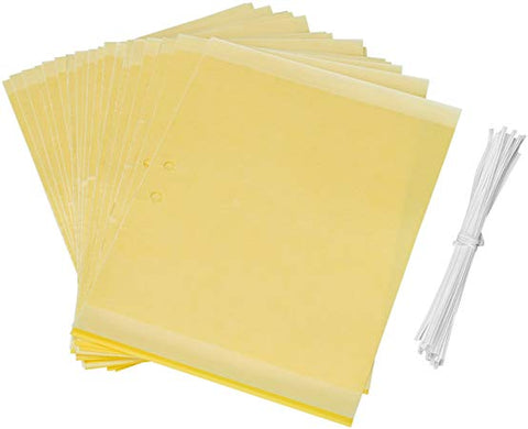 Yellow Sticky Traps