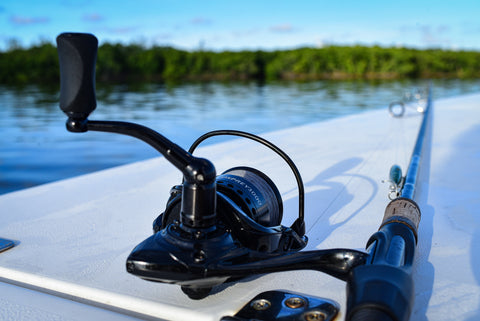 best reel for catching redfish (red drum)