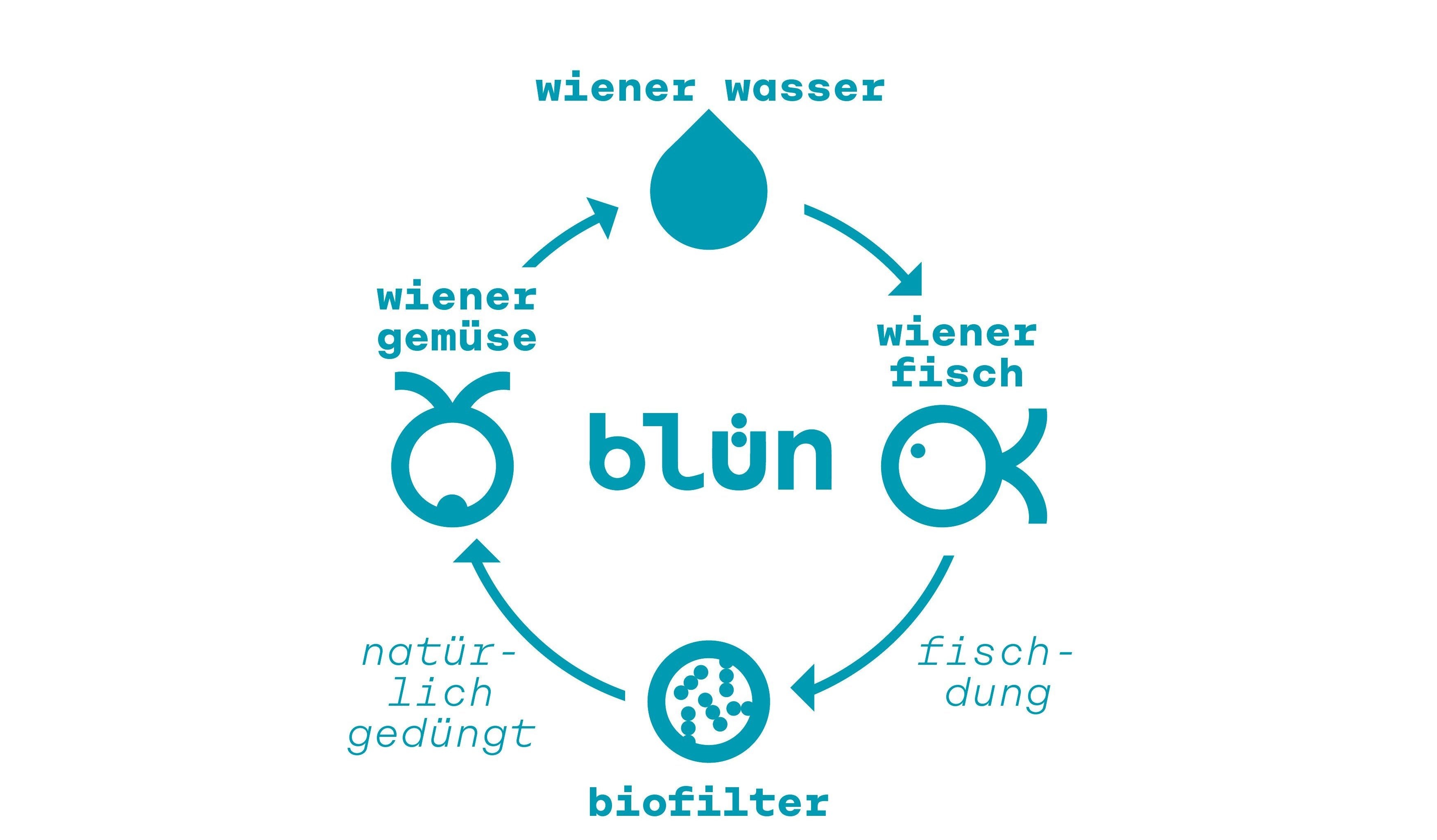 nachhaltig fisch wien