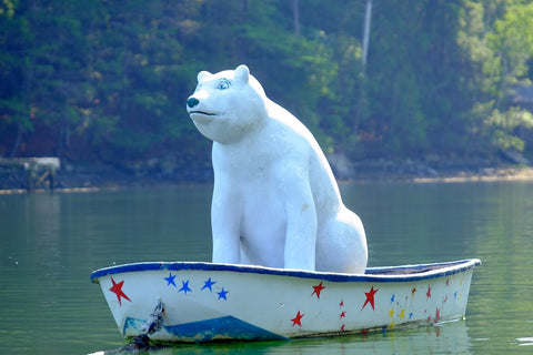 Polar Bear in rowboat