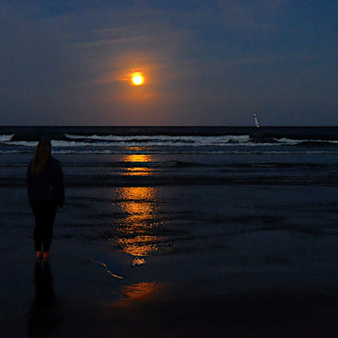 moonrise Ogunquit Beach