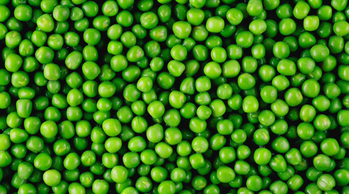 are canned peas bad for dogs