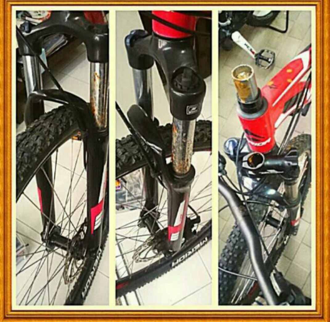 mountain bike suspension service