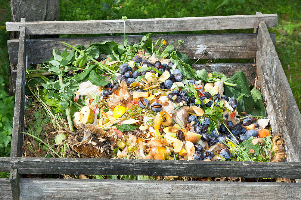 Food scraps compost