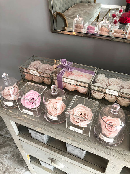 Preserved flowers for a shabby chic interiors