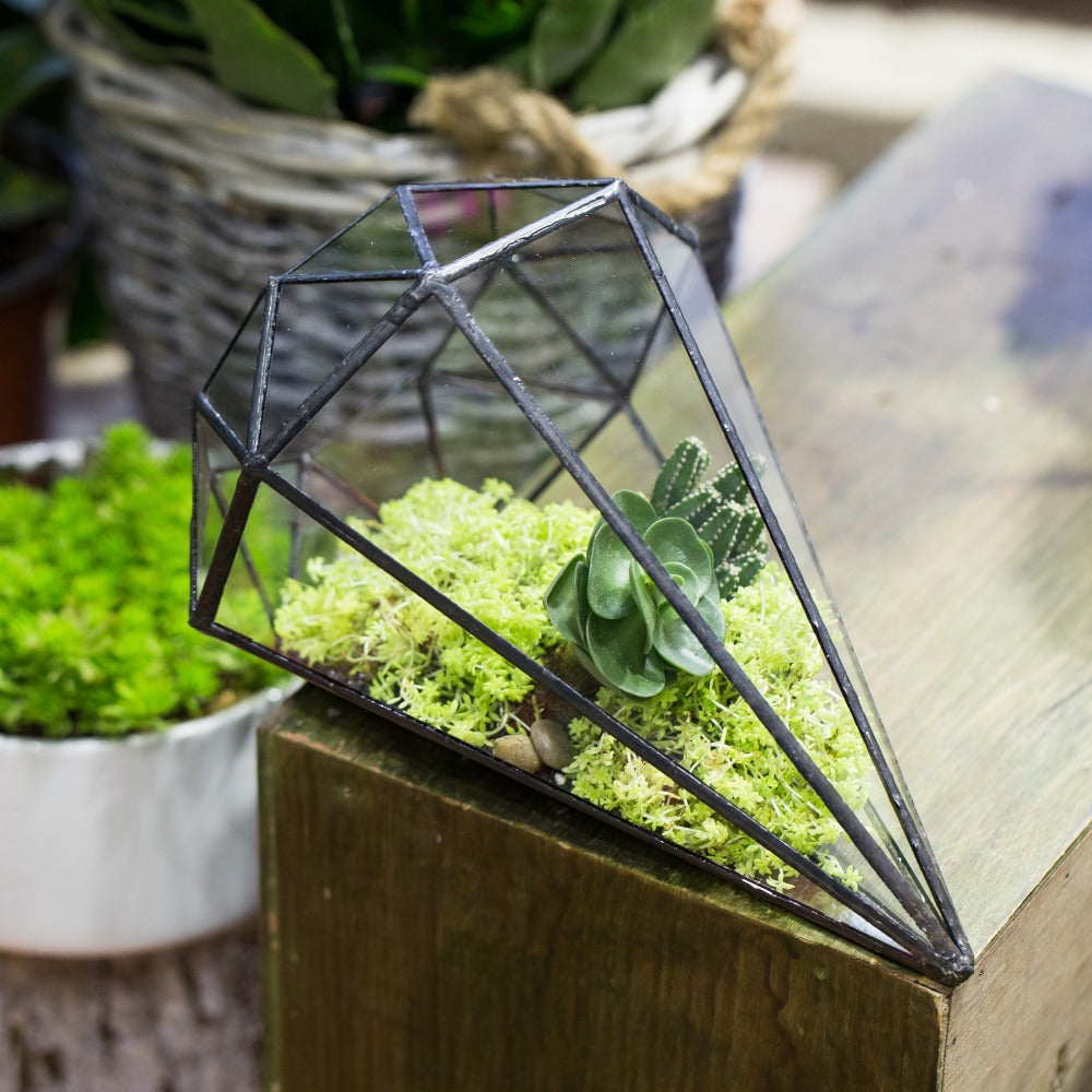 octahedral terrarium minimalism for your home