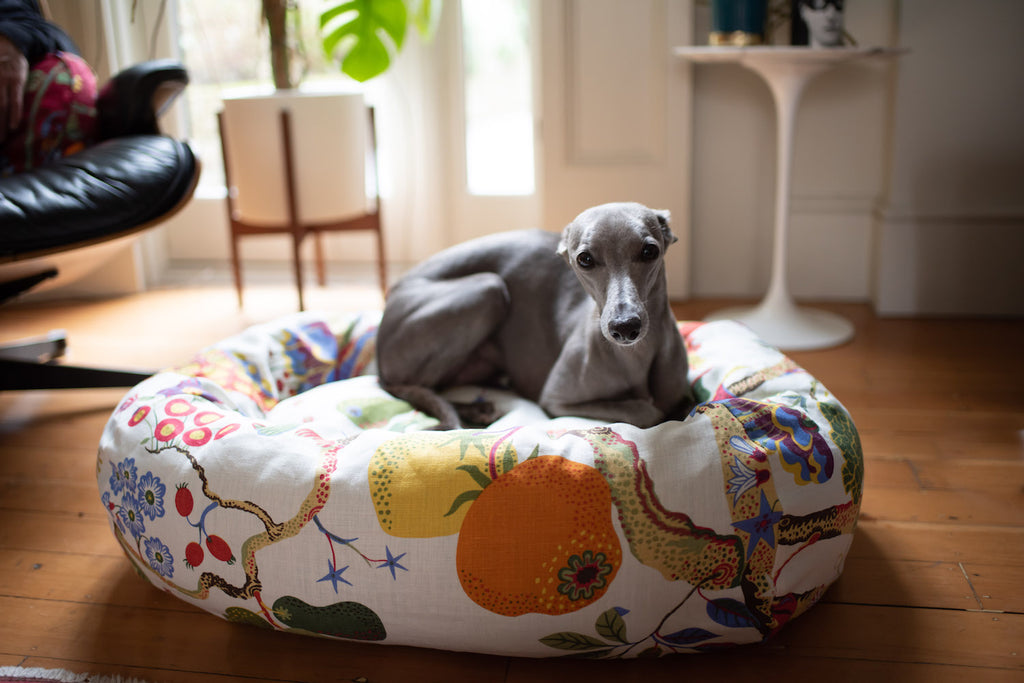 comfy dog bed for whippet