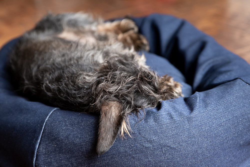 denim bed for small dog