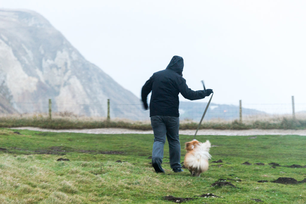 man and dog