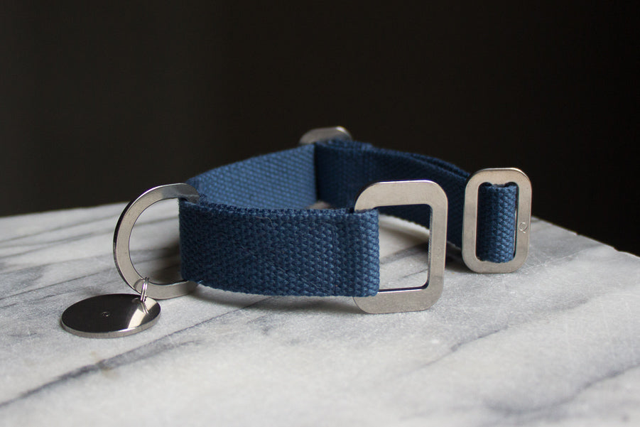 small blue dog collar
