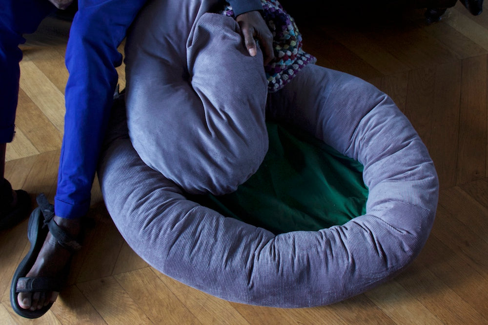 stuff your own dog bed