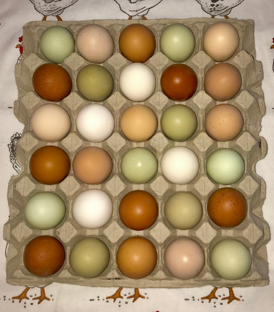 Pasture Raised Chicken Eggs Mixed Mediumsmall Wills Eden Farm To Door Market 