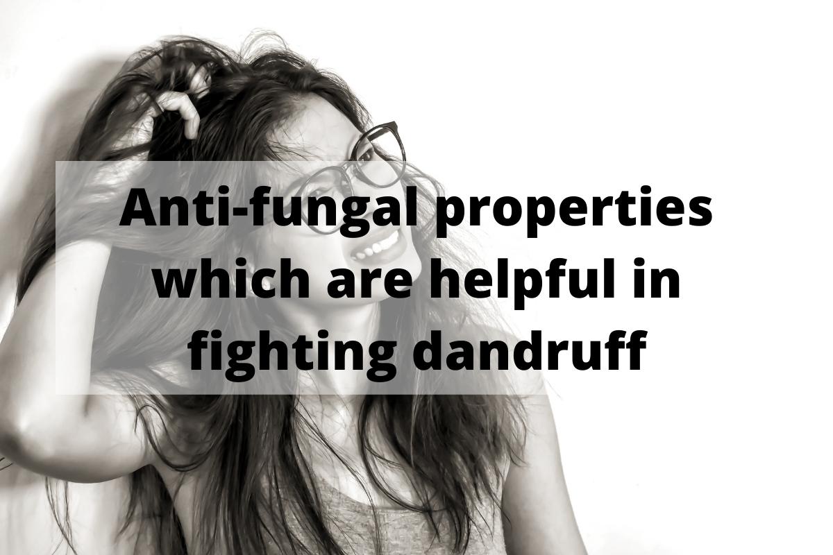 Mullein Benefits: Anti-fungal properties which are helpful in fighting dandruff