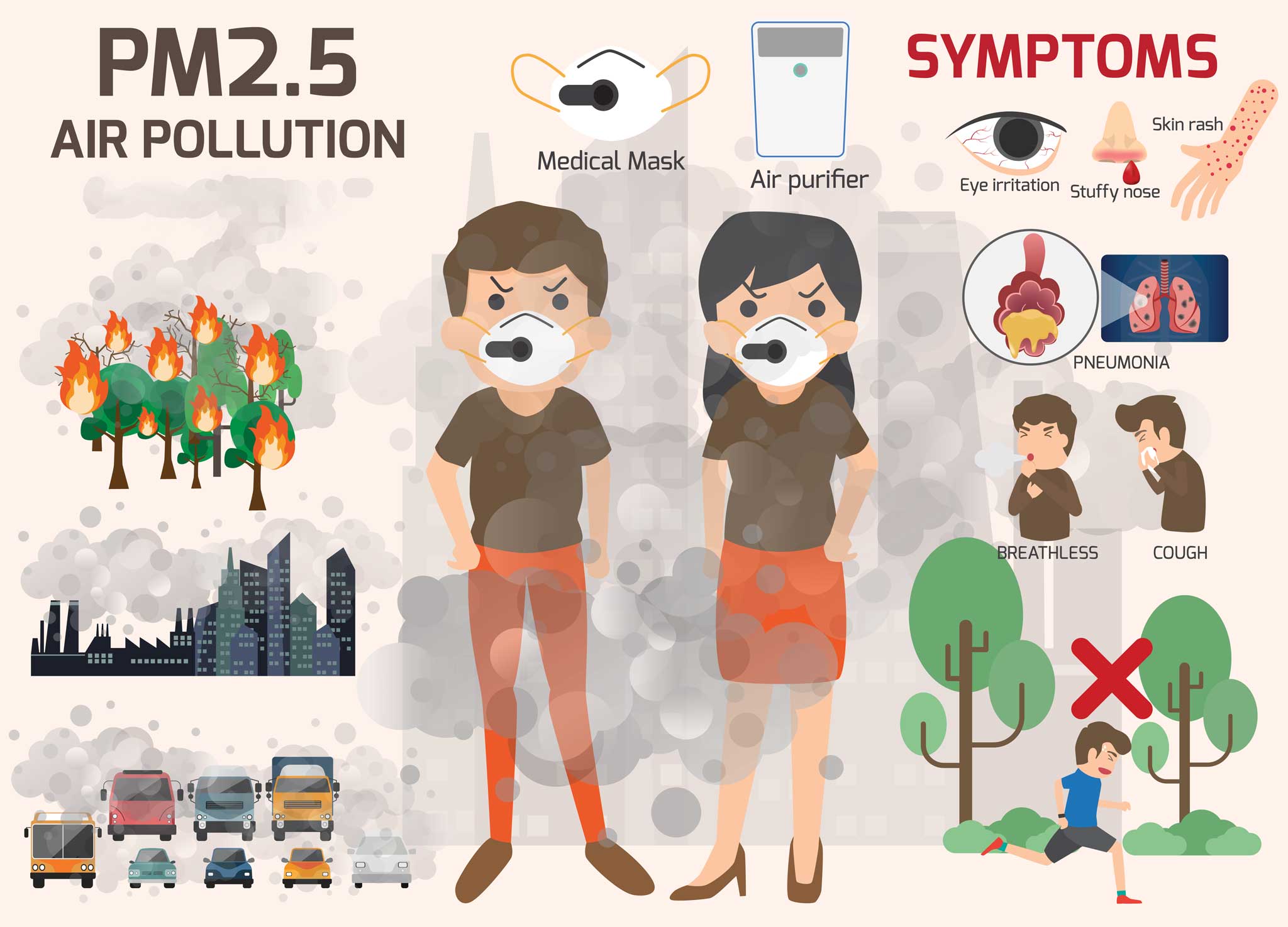 Air Pollution Infographic PM2.5 Effects