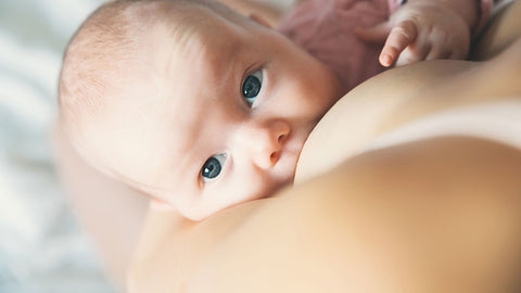 Human - Breastfeeding and alcohol