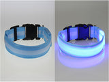 Collier LED  lumineux pour chien - Global Store 