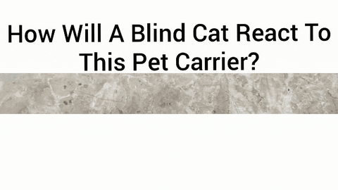 blind cat carrier