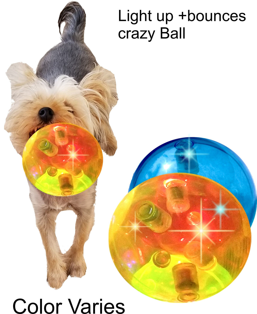 Sheraton Luxuries 2 Big Light Up Bounce Balls For Dogs