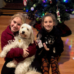 Ella and Taco loved their good paws Christmas stocking stuffer treats