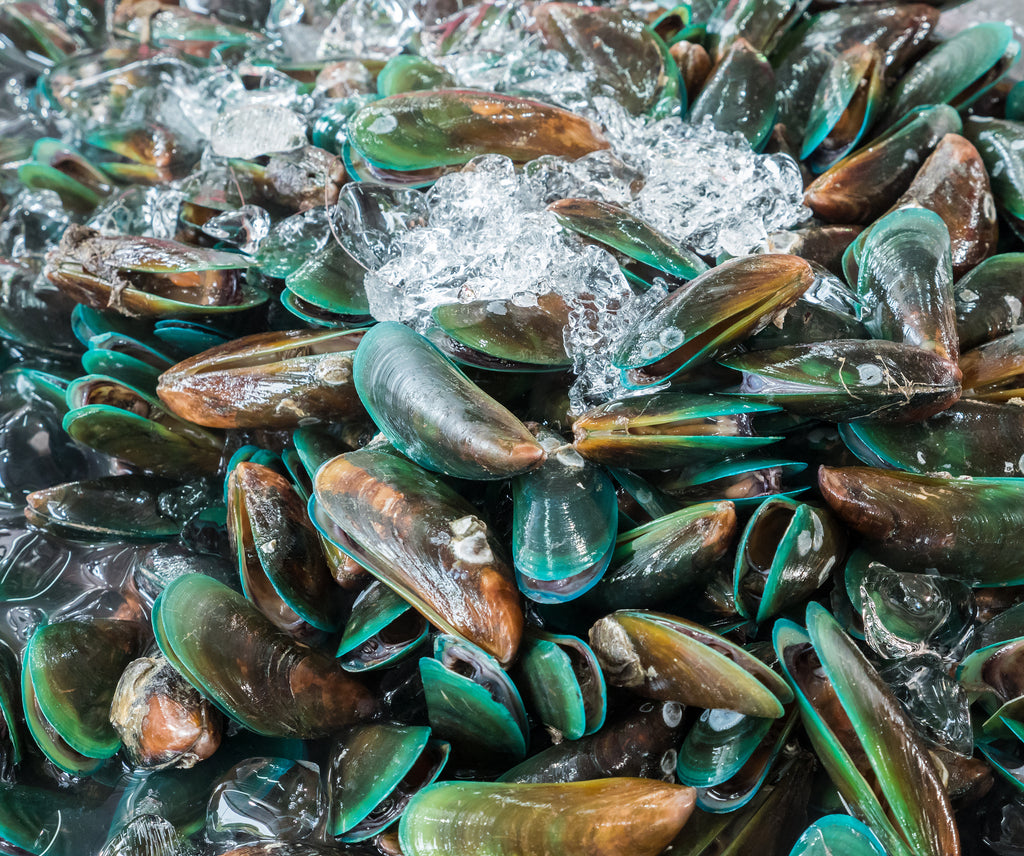 The Benefits Of Green Lipped Mussels For Dogs Doggos Com